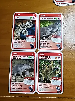 Woolworths Aussie Animals TARONGA (Land)🏆#13141517 - 4 CARDS🏆FREE POST • $3