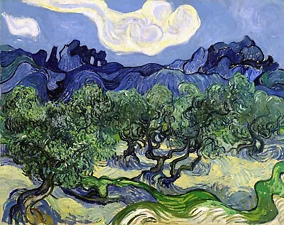 The Olive Trees Painting By Vincent Van Gogh • $59.99