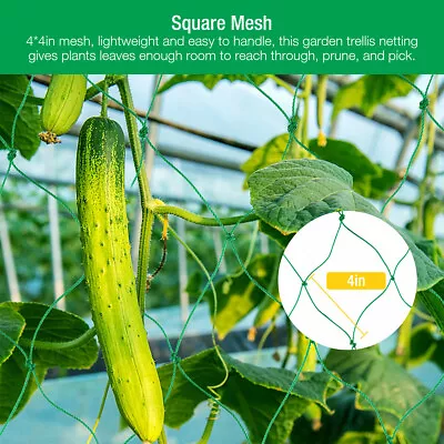 Garden Plant Climbing Net Trellis Netting Mesh Support Fruits Vine Veggie Bean • $8.59