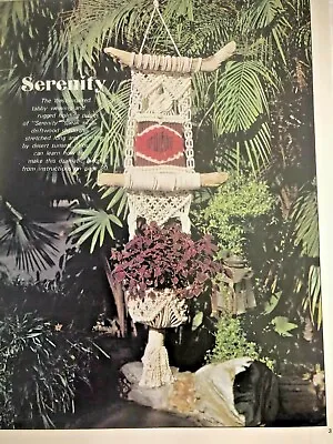 Macrame Plus Vintage 1976 Knotting Patterns Book Plant Hangers Wall Hangings • $14.91