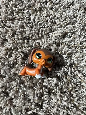 LPS Littlest Pet Shop Dachshund 675 Authentic • $41