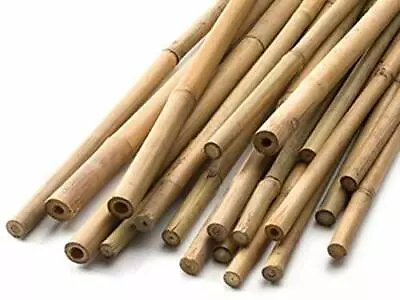 Bamboo Garden Canes Flower Support Heavy Duty Wooden Plant Sticks Thick Stakes • £7.99