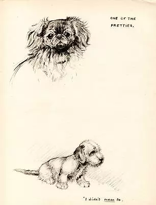 Authentic Sweet Original Vintage Dog Print 1942 K.F. Barker • £7.75