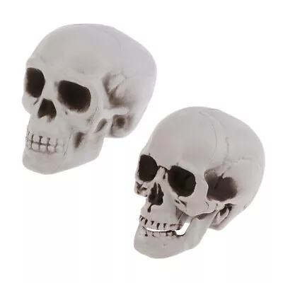  2 Pcs Simulation Skull Plastic Small Mini Skulls Human Head Statue Decor • £9.75