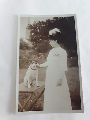 Edwardian Photograph Of A Lady And Her Dog Jack Russell? • £8