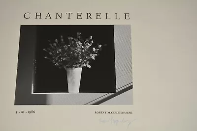 Robert Mapplethorpe SIGNED Untitled (Still Life Of Vase And Flowers) Chanterelle • $6478.23