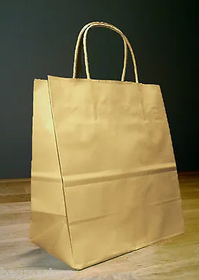 $28 • Buy 10x5x13 Kraft Brown Paper Debbie Retail Shopping Gift Bags With Rope Handles