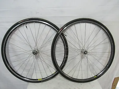 Campagnolo Record Hubs Laced To Mavic Open Pro Rims W/Newer Bontrager Tires • $399.99