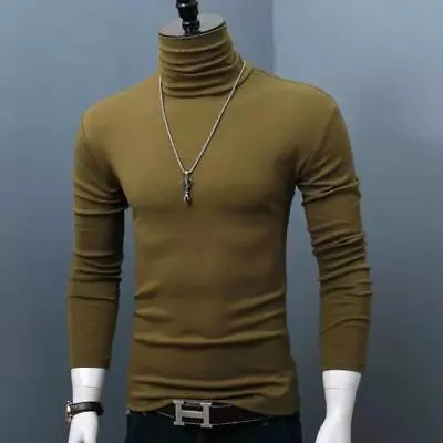 Luxury Men's Casual Turtleneck T-Shirts Autumn And Winter Tops Slim Collar Full • $15.97