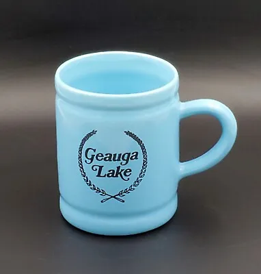 Vintage Geauga Lake Amusement Park Blue Ceramic Mug - Rare • $38.99