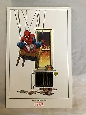 Marvel Comics Promotional Lithograph Spider-Man By Joe Quesada • $2.65