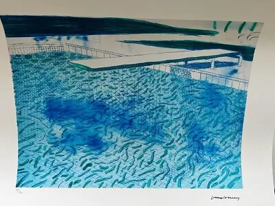 David Hockney Signed IN Flat And Numbered +COA • £58.88