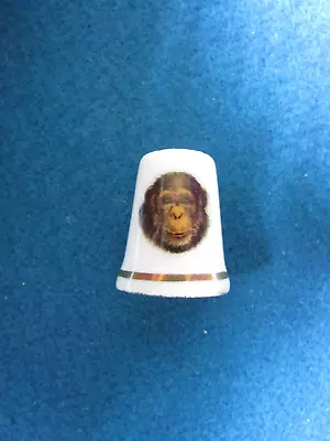 CHIMPANZEE Bone China Thimble - Unbranded  - MONKEY • $3.67