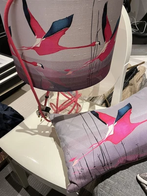 £30 • Buy Glass Table Lamp With Pink Wire, Hand Painted Silk Shade And Silk Cushion Combo
