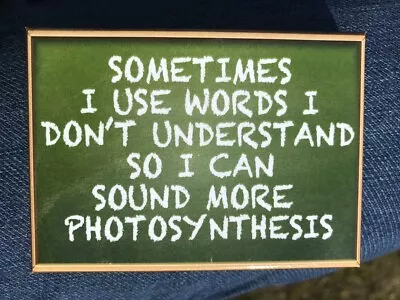 Sometimes I Use Words I Don't Understand - Funny Fridge Magnet  • $10.50