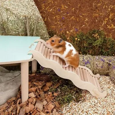 £7.76 • Buy 1PC Hamster/Squirrel Climbing  Ladder With Groove Wooden Ramp Bridge Chew Toy