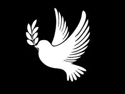 DOVE Peace On Earth Vinyl Decal Car Truck Wall Sticker CHOOSE SIZE COLOR • $2.80