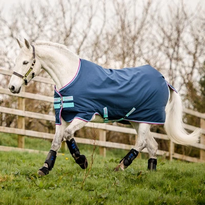 £84.95 • Buy Amigo Pony Hero 900D 0g Turnout Horse Rug - Dark Blue/Capri/Raspberry