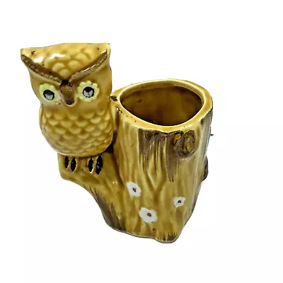 Succulent Plant Planter Owl Log Gold Brown Kitchen Decor Made Japan Vintage • $9.95