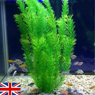 Aquarium Large Artificial Fake Tank Water Ornament Fish Plant Plastic Decor _ UK • £3.53