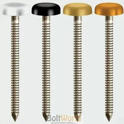 £4.18 • Buy (white)plastic Headed Top Steel Nails Pins  Plastop, Upvc Fascia Soffit Cladding