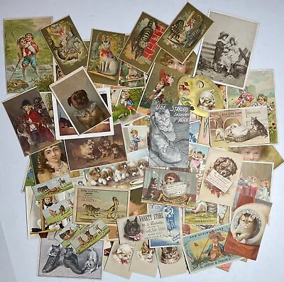 80+ Rare Victorian Trade Cards Young Children Boys Girls Cats Dogs VT NY MA PA • $9.99