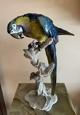 Rare ART DECO  Rosenthal Porcelain Parrot Macaw Figurine 15.5 In • $1950