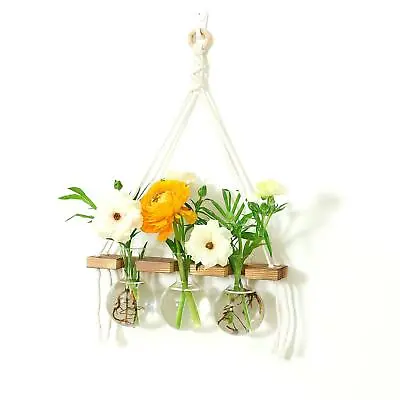 Wall Hanging Planter Terrarium For Hydroponic Plants Glass Vase For Office • £13.67