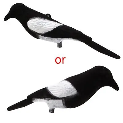 Magpie Bird Painted Decoy Shell Outdoors Shot Hunting Shooting Lures Bait Tool • £6.98