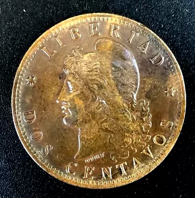 Argentina 1893 2 Centavos Near Uncirculated Great Coin ! • $10