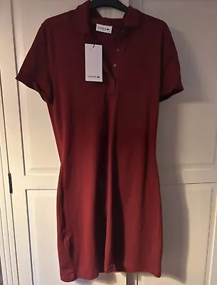 Lacoste Brand New Burgundy Polo Dress  • £70