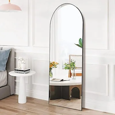 21 X64  Full-length Mirror Floor Mirror Wall Bedroom Mirror Stand Alloy Frame • $58.99