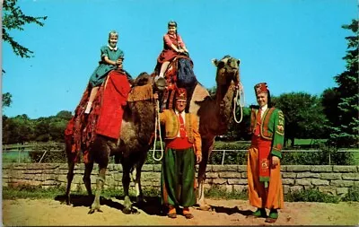 Vintage Postcard Camel Rides Vilas Park Zoo Zor Shriners Madison Wisconsin A7 • $7.99