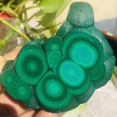 345G Natural Malachite Mineral Specimen Quartz Crystal Reiki Healing • $6.52