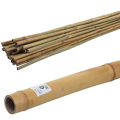 3ft/4ft5ft/6ft/7ft/8ft Bamboo Canes Strong Pole Garden Stake Heavy Duty New • £7.49