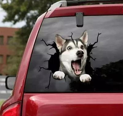 £8.99 • Buy Husky Dog Large Vinyl Car Sticker Waterproof Approx 12 X 12 Inch