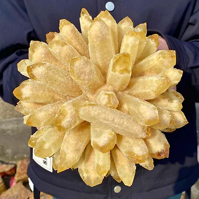 7.4LB  Natural Citrine Cluster Mineral Specimen Quartz Crystal Healing • $0.99