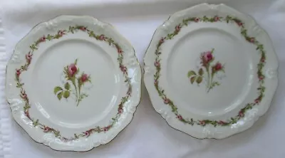 $23.99 • Buy Eschenbach China La Reine Pink Moss Rose Scalloped Edge Salad Plate - Set Of 2