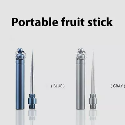 2pcs Stainless Steel Tooth Pick Portable Metal Toothpick Reusable Blue/Gray • $5.59