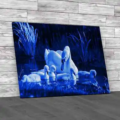 Swan And Its Babies Blue Canvas Print Large Picture Wall Art • £14.95
