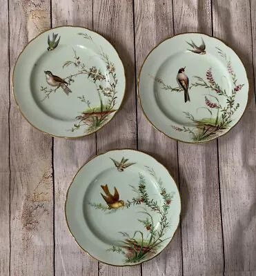 Minton Hand Painted Cabinet Plates Birds Insects Berries Set Of Three • $500