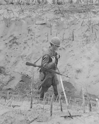 U.S. Marine Walking Through Punji-staked Gully 8 X 10  Vietnam War Photo 280 • $7.43