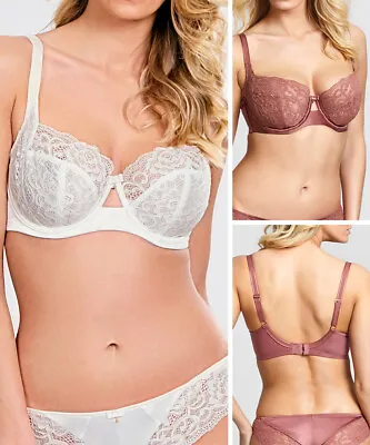 Panache Quinn Bra Balconette 9241 Underwired Balcony Lace Lingerie • £22