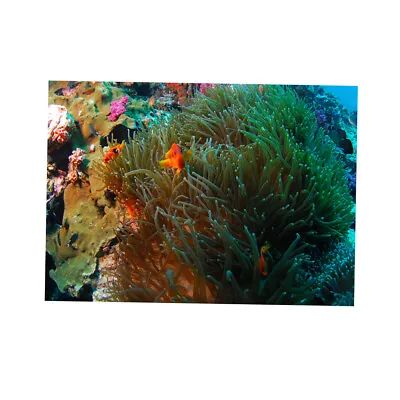 $24.02 • Buy 3D  PVC Aquarium Background Poster   Tank Decorations Landscape (Coral)