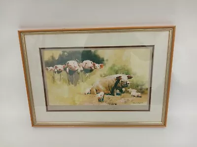 Framed Signed David Shepherd Large Framed Print Featuring Pigs 22.5  X 16  Good • £9.99