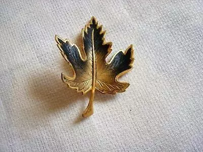 Vintage Gold Tone With Black Maple Leaf Pin Brooch • $8