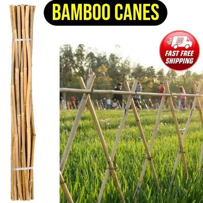 4ft Heavy Duty Bamboo Canes Garden Stake Thick Quality Plant Support Pack 10 UK • £7.10