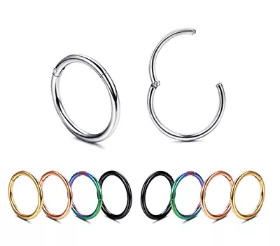 16G Hinged Surgical Steel Segment Clicker Hoop Ring Lip Ear Nose Body PiercingAU • $3.69