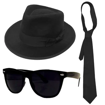 Adults Gangster Set Blue Brothers Hat Tie Glasses Mens 1920s Fancy Dress • £2.99