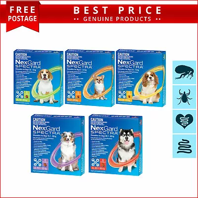 NEXGARD SPECTRA For All Sizes Dogs Flea Heartworm Tick And Worm Control 6 Doses • $90.93